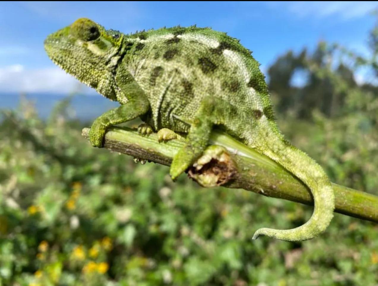 June - Machu Picchu, Peru